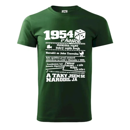 1954 v kostce