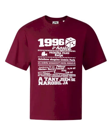 1996 v kostce