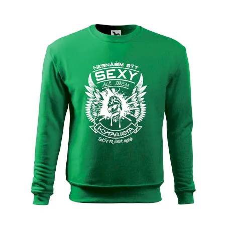 Nesnáším být sexy - kytarista