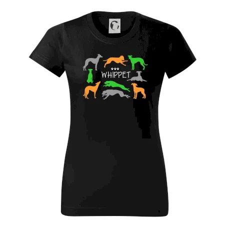 Whippet barevný