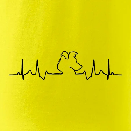 Border kolie EKG