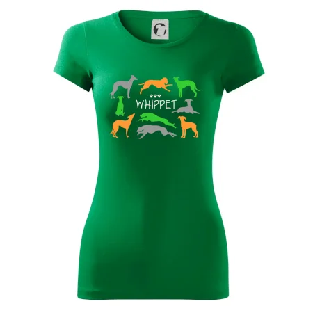 Whippet barevný