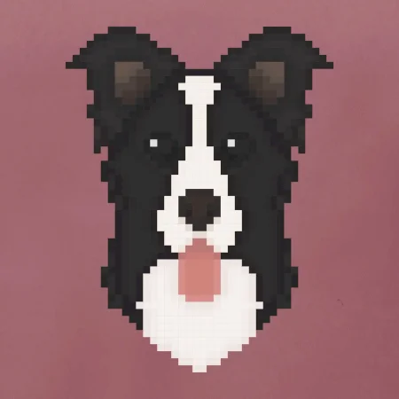 Border kolie Pixel