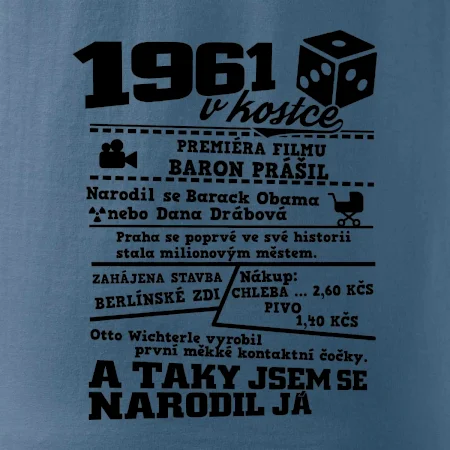 1961 v kostce