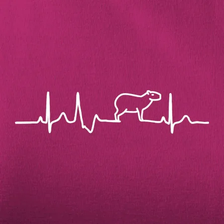 Ekg Capybara