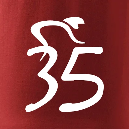 Cyklista slaví pětatřicítku (35)
