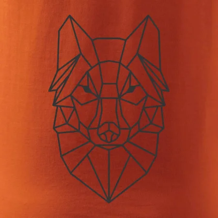 Geometrie - vlk