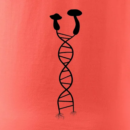 DNA houby