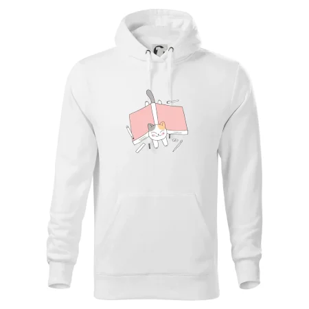 Učení na státnice kočka