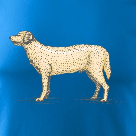 Vintage Labrador
