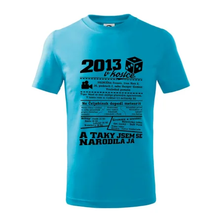 2013 v kostce