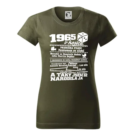1965 v kostce