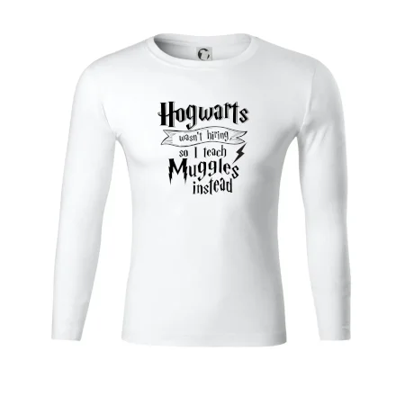 Harry - Hogwarts wasn’t hiring, so I teach Muggles instead