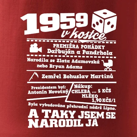 1959 v kostce