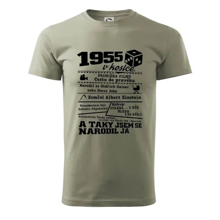 1955 v kostce