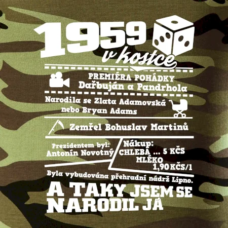 1959 v kostce