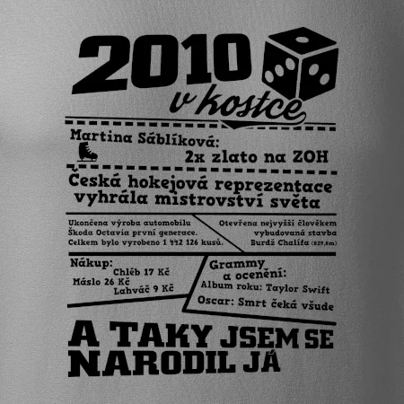 2010 v kostce