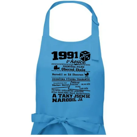 1991 v kostce