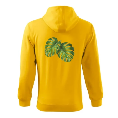 Monstera - dva listy