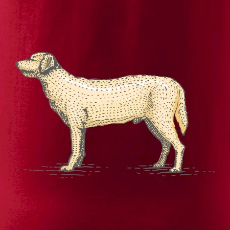 Vintage Labrador