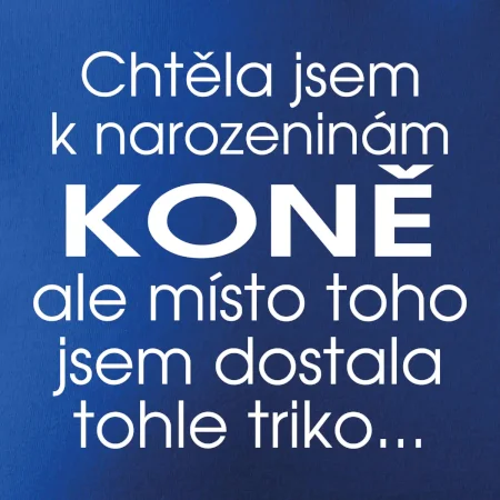 Chtěla jsem dostat k narozeninám koně