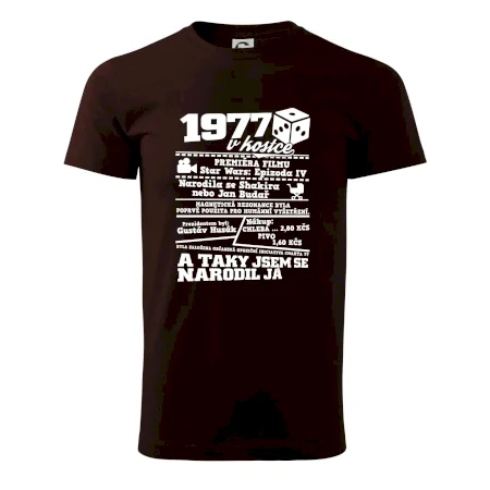 1977 v kostce