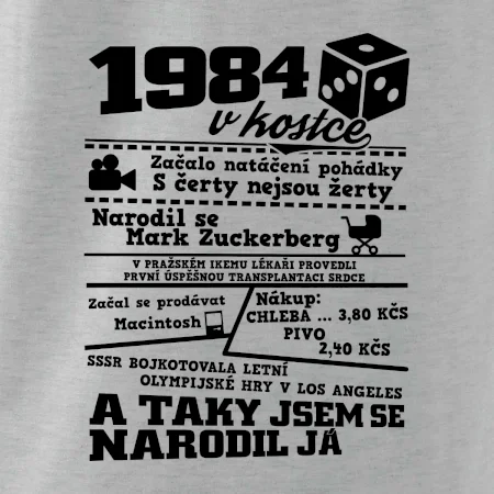 1984 v kostce