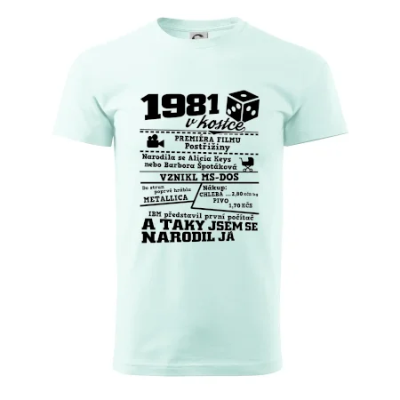 1981 v kostce
