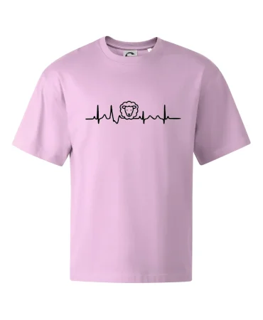 Ekg ovce