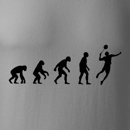 Evoluce Badminton