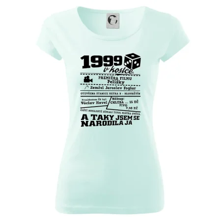 1999 v kostce