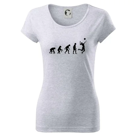 Evoluce volejbal culík