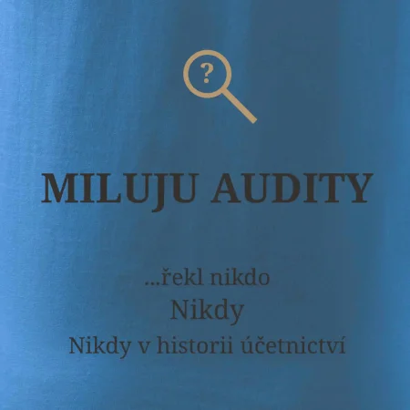 Miluju audity řekl nikdo nikdy