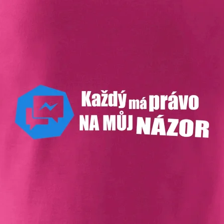Každý má právo na můj názor