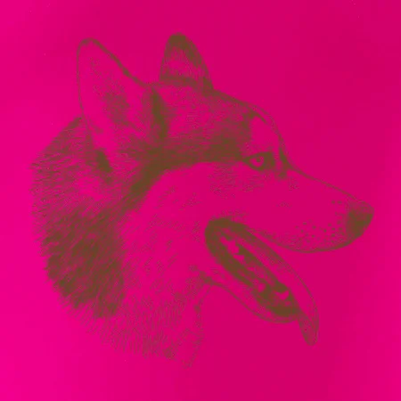 Husky - hlava z boku
