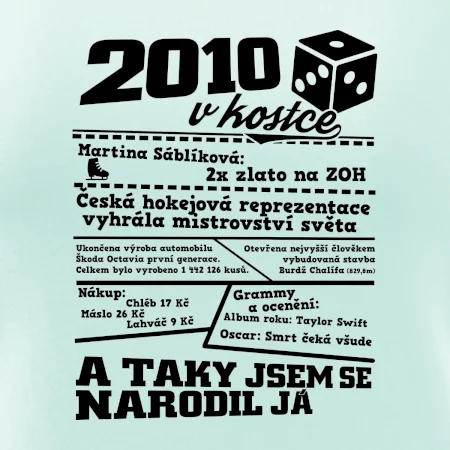 2010 v kostce