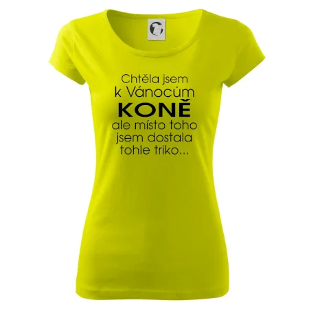 Chtěla jsem k Vánocům koně
