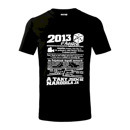 2013 v kostce