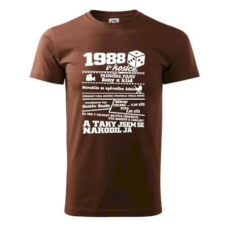 1988 v kostce