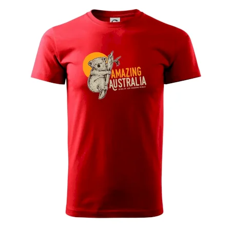 Amazing Australia koala