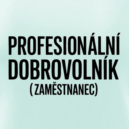PROFESIONÁLNÍ DOBROVOLNÍK (zaměstnanec)