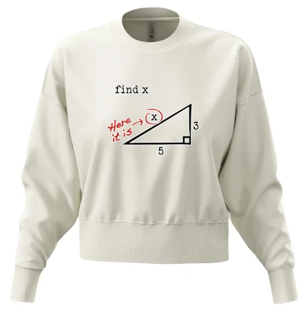 Find X - geometrie