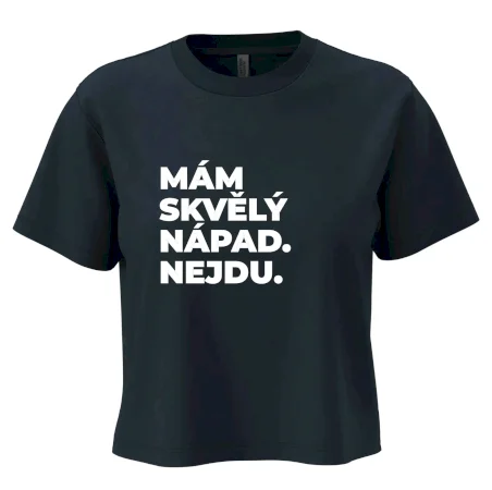 MÁM SKVĚLÝ NÁPAD. NEJDU.