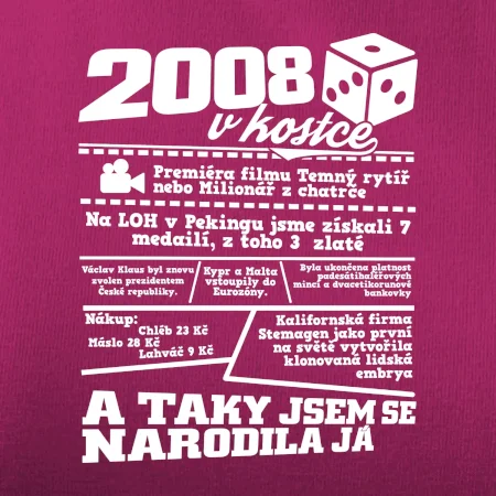 2008 v kostce
