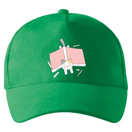 Učení na státnice kočka
