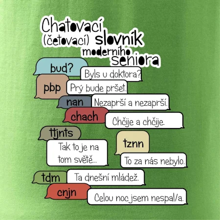 Chatovací slovník moderního seniora (Běžící češtinář)