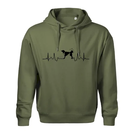 Český strakatý pes EKG