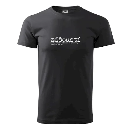 Čeština 2.0 - zášoustí