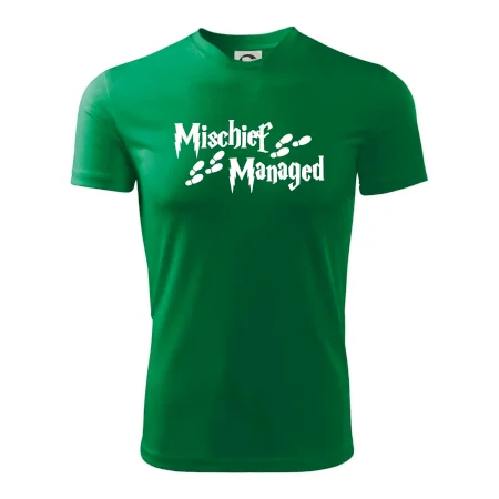 Harry - Mischief Managed