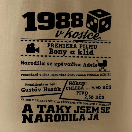 1988 v kostce